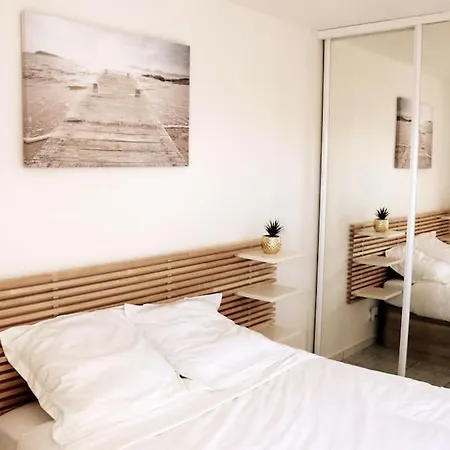 Port-frejus, Le Paladien, 2 Pieces Climatise, Terrasse & Parking Daire