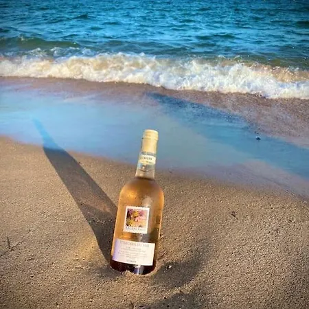 Port-frejus, Le Paladien, 2 Pieces Climatise, Terrasse & Parking