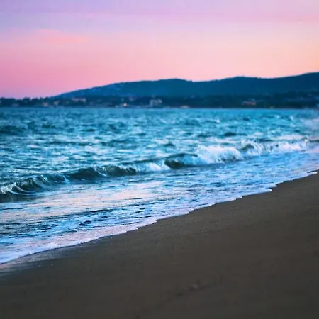 Port-frejus, Le Paladien, 2 Pieces Climatise, Terrasse & Parking Daire Fréjus