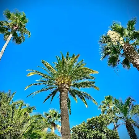 Port-frejus, Le Paladien, 2 Pieces Climatise, Terrasse & Parking Daire